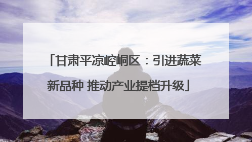 甘肃平凉崆峒区：引进蔬菜新品种 推动产业提档升级