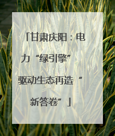甘肃庆阳：电力“绿引擎” 驱动生态再造“新答卷”