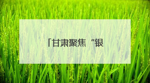 甘肃聚焦“银发餐桌”托起老年幸福滋味