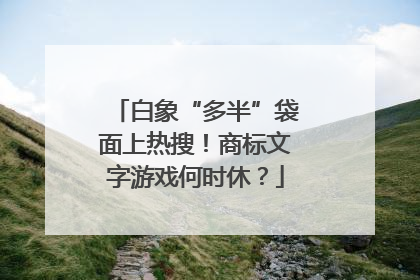 白象“多半”袋面上热搜！商标文字游戏何时休？