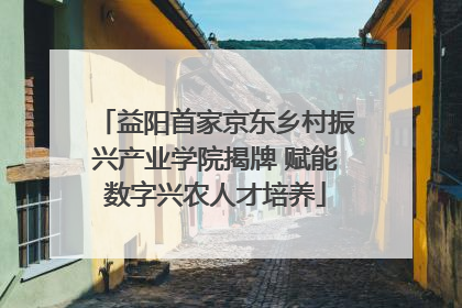 益阳首家京东乡村振兴产业学院揭牌 赋能数字兴农人才培养