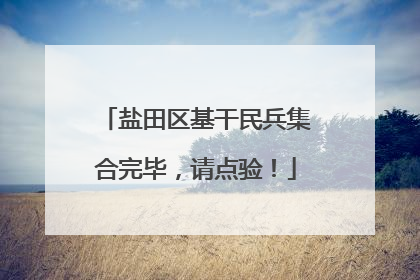 盐田区基干民兵集合完毕，请点验！