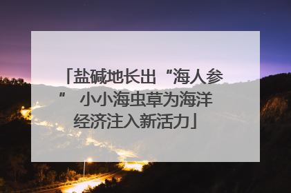 盐碱地长出“海人参” 小小海虫草为海洋经济注入新活力
