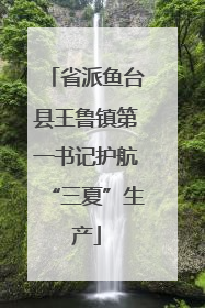 省派鱼台县王鲁镇第一书记护航“三夏”生产