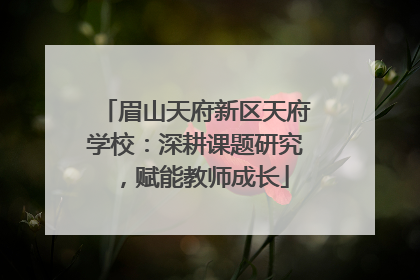 眉山天府新区天府学校：深耕课题研究，赋能教师成长