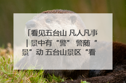 看见五台山 凡人凡事｜景中有“警” 警随“景”动 五台山景区“看得见”的平安守护