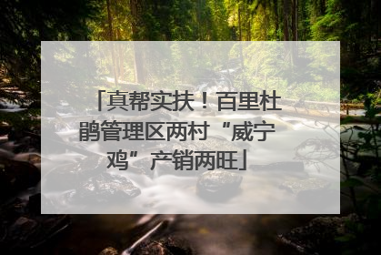 真帮实扶！百里杜鹃管理区两村“威宁鸡”产销两旺