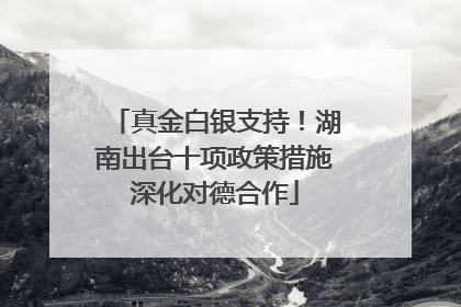 真金白银支持！湖南出台十项政策措施深化对德合作