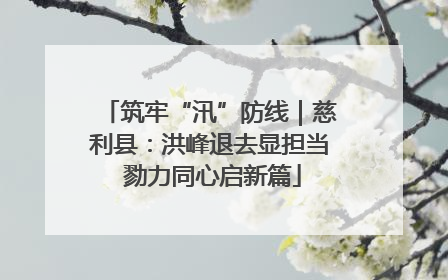 筑牢“汛”防线｜慈利县：洪峰退去显担当 勠力同心启新篇