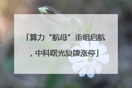 算力“航母”重组启航，中科曙光复牌涨停