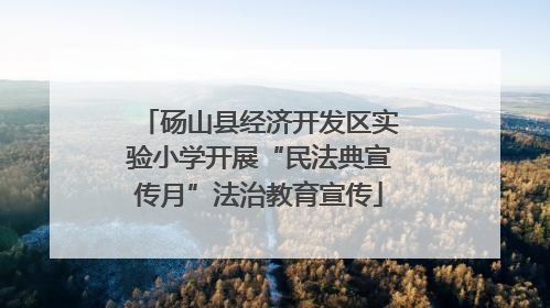 砀山县经济开发区实验小学开展“民法典宣传月”法治教育宣传