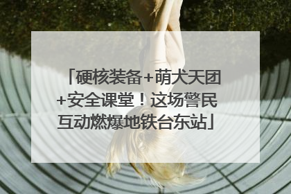 硬核装备+萌犬天团+安全课堂！这场警民互动燃爆地铁台东站