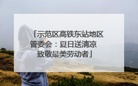 示范区高铁东站地区管委会：夏日送清凉 致敬最美劳动者