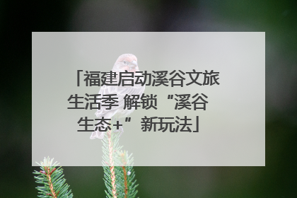 福建启动溪谷文旅生活季 解锁“溪谷生态+”新玩法