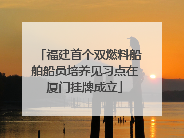 福建首个双燃料船舶船员培养见习点在厦门挂牌成立