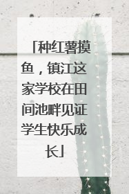 种红薯摸鱼，镇江这家学校在田间池畔见证学生快乐成长