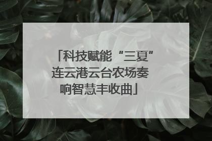 科技赋能“三夏” 连云港云台农场奏响智慧丰收曲