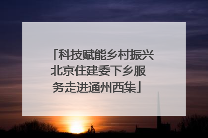 科技赋能乡村振兴 北京住建委下乡服务走进通州西集
