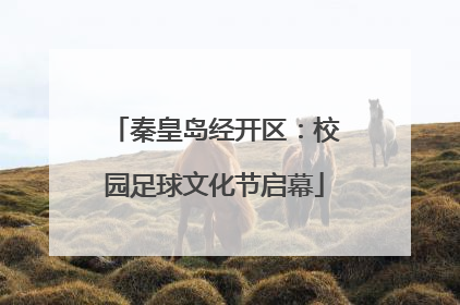 秦皇岛经开区：校园足球文化节启幕