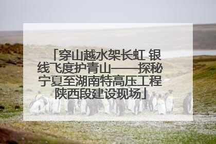 穿山越水架长虹 银线飞度护青山——探秘宁夏至湖南特高压工程陕西段建设现场