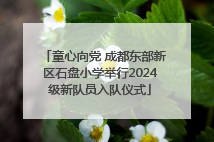 童心向党 成都东部新区石盘小学举行2024级新队员入队仪式