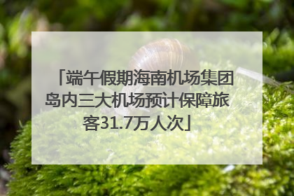 端午假期海南机场集团岛内三大机场预计保障旅客31.7万人次