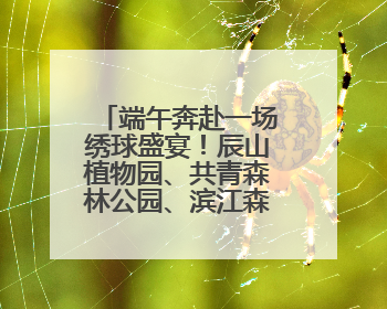 端午奔赴一场绣球盛宴！辰山植物园、共青森林公园、滨江森林公园里的绣球秘境在这里