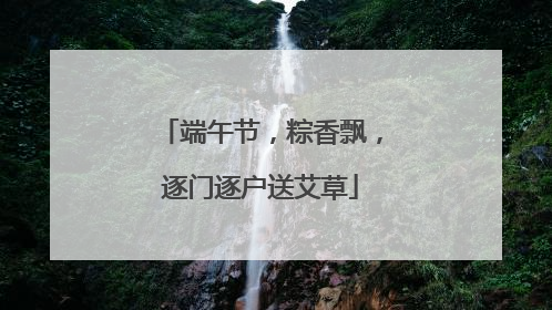 端午节,粽香飘,逐门逐户送艾草