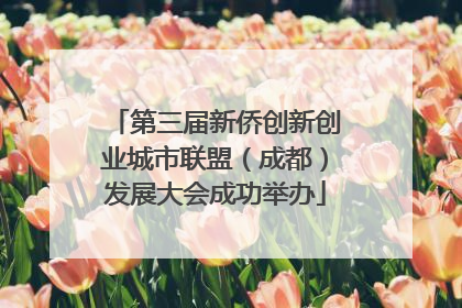 第三届新侨创新创业城市联盟（成都）发展大会成功举办