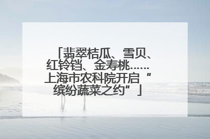 翡翠桔瓜、雪贝、红铃铛、金寿桃……上海市农科院开启“缤纷蔬菜之约”