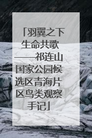 羽翼之下 生命共歌——祁连山国家公园候选区青海片区鸟类观察手记