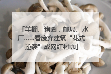 羊棚、猪圈，邮局、水厂……看废弃建筑“花式逆袭”成网红村咖