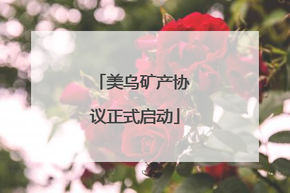 美乌矿产协议正式启动