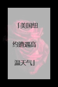 美国纽约遭遇高温天气
