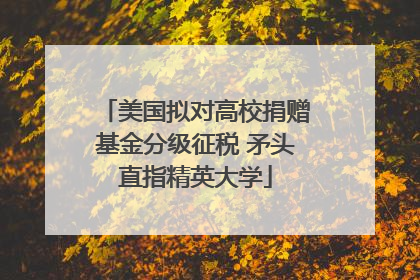 美国拟对高校捐赠基金分级征税 矛头直指精英大学