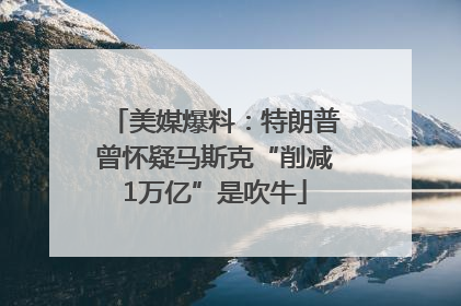 美媒爆料：特朗普曾怀疑马斯克“削减1万亿”是吹牛