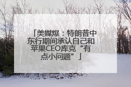 美媒爆：特朗普中东行期间承认自己和苹果CEO库克“有点小问题”