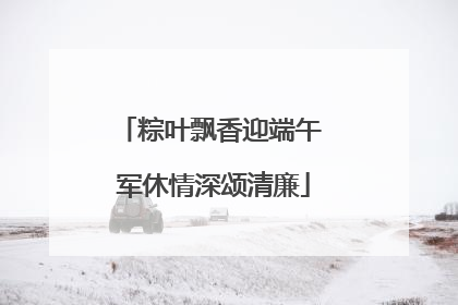 粽叶飘香迎端午 军休情深颂清廉