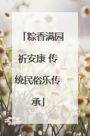 粽香满园祈安康 传统民俗乐传承