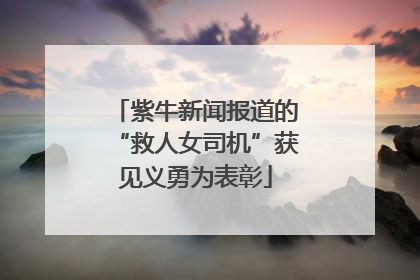紫牛新闻报道的“救人女司机”获见义勇为表彰