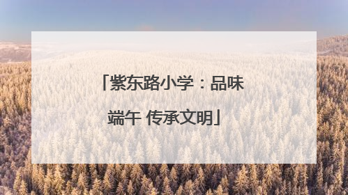 紫东路小学：品味端午 传承文明