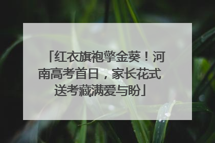 红衣旗袍擎金葵！河南高考首日，家长花式送考藏满爱与盼