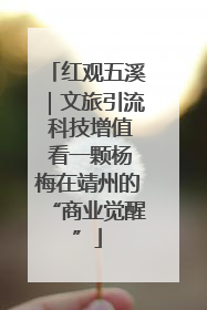 红观五溪｜文旅引流 科技增值 看一颗杨梅在靖州的“商业觉醒”