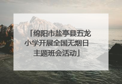 绵阳市盐亭县五龙小学开展全国无烟日主题班会活动