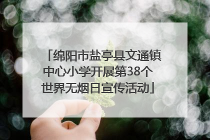 绵阳市盐亭县文通镇中心小学开展第38个世界无烟日宣传活动