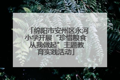 绵阳市安州区永河小学开展“珍惜粮食 从我做起”主题教育实践活动