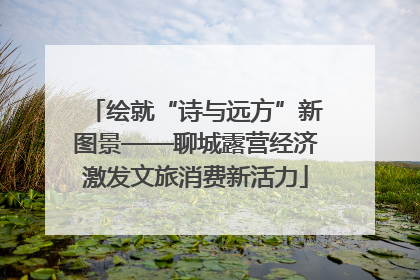 绘就“诗与远方”新图景——聊城露营经济激发文旅消费新活力
