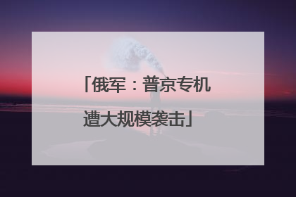 俄军：普京专机遭大规模袭击