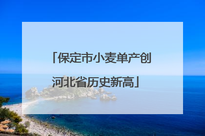 保定市小麦单产创河北省历史新高