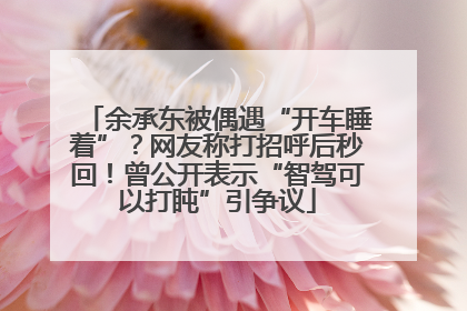 余承东被偶遇“开车睡着”？网友称打招呼后秒回！曾公开表示“智驾可以打盹”引争议